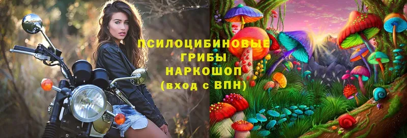 Галлюциногенные грибы мухоморы  Белоозёрский 